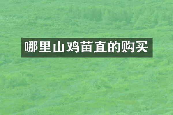 哪里山鸡苗直的购买