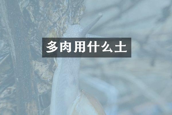 多肉用什么土