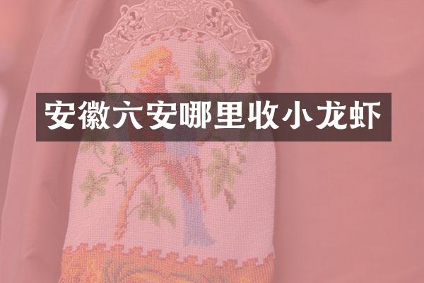 安徽六安哪里收小龙虾