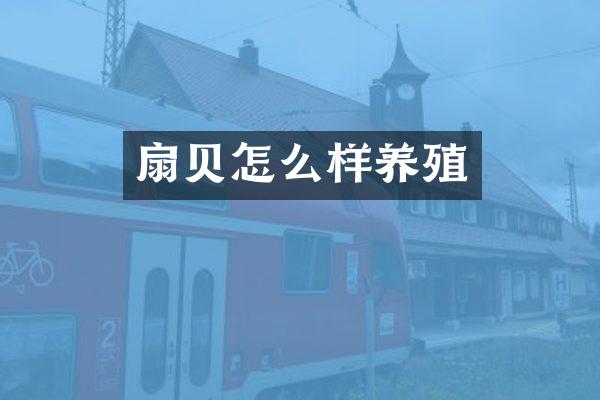 扇贝怎么样养殖