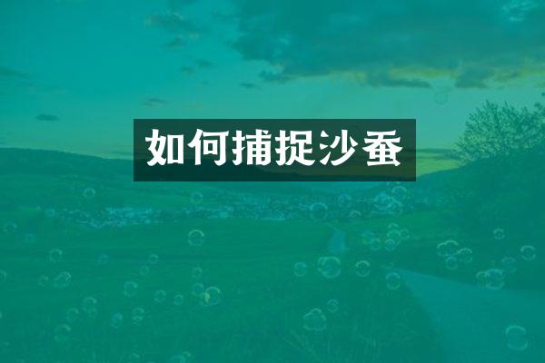 如何捕捉沙蚕