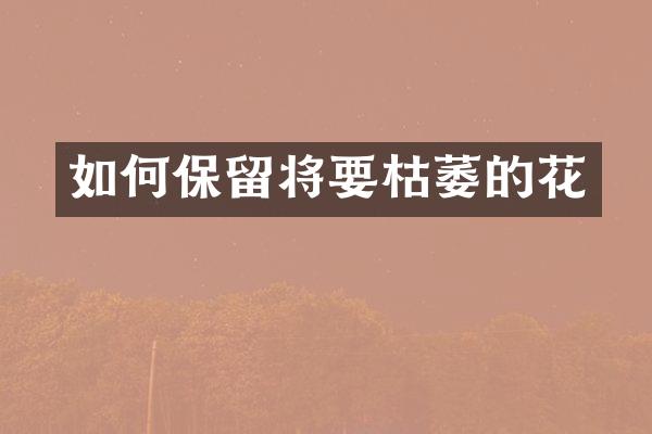 如何保留将要枯萎的花