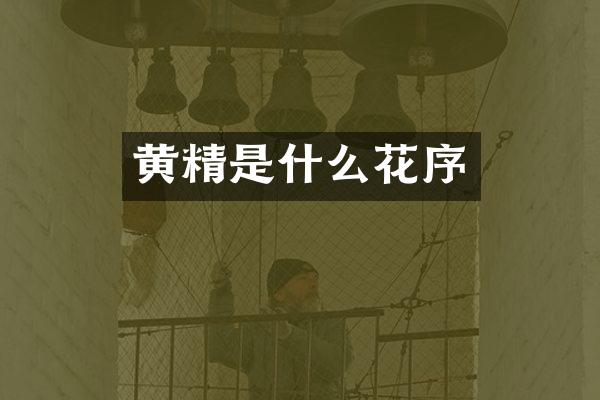 黄精是什么花序
