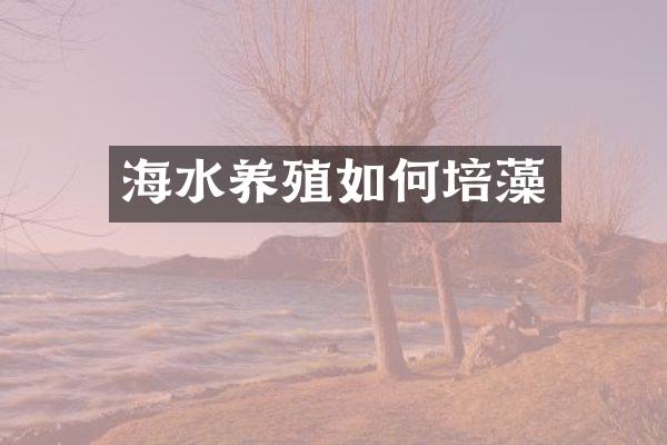 海水养殖如何培藻