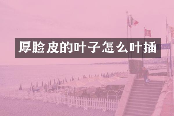 厚脸皮的叶子怎么叶插