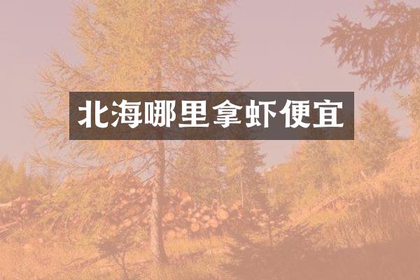 北海哪里拿虾便宜