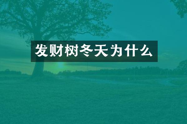 发财树冬天为什么