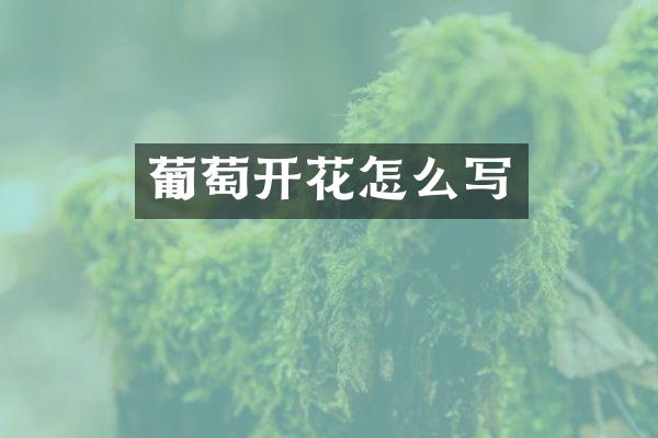葡萄开花怎么写