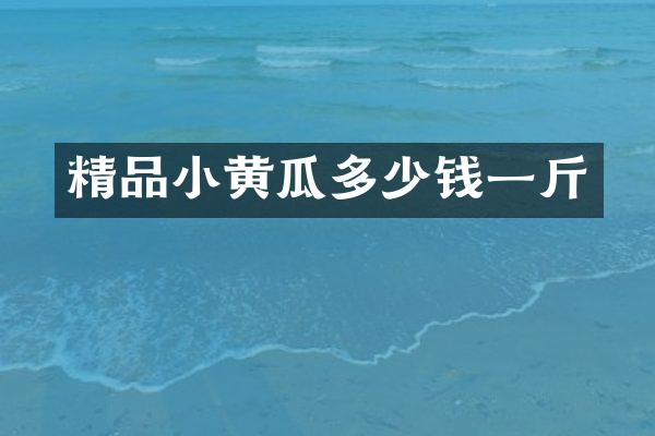 精品小黄瓜多少钱一斤
