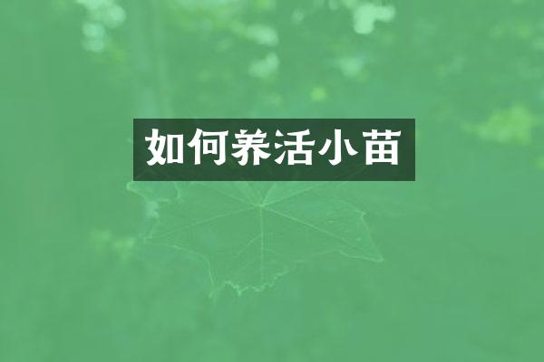 如何养活小苗