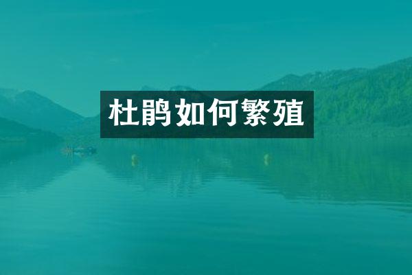 杜鹃如何繁殖