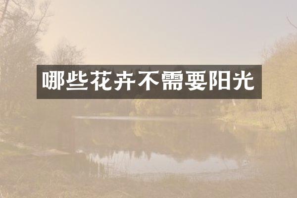 哪些花卉不需要阳光