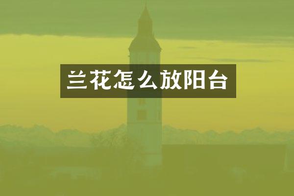 兰花怎么放阳台