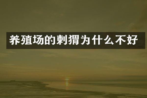 养殖场的刺猬为什么不好