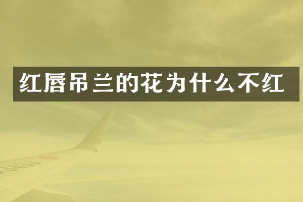 红唇吊兰的花为什么不红