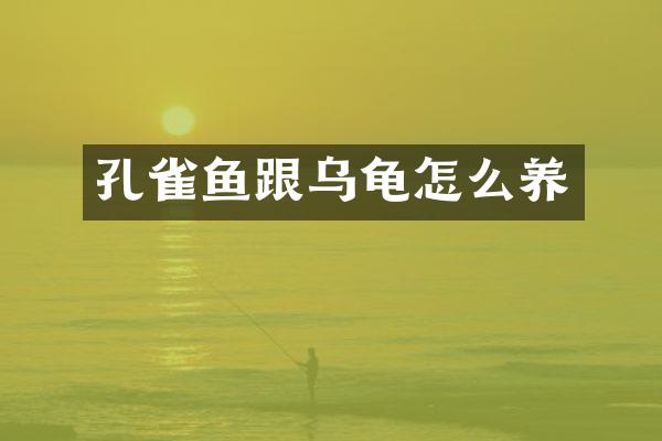 孔雀鱼跟乌龟怎么养