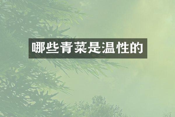 哪些青菜是温性的