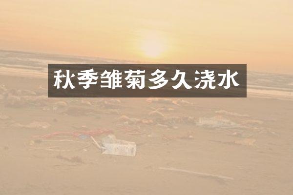 秋季雏菊多久浇水