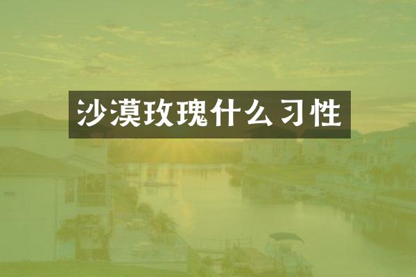 沙漠玫瑰什么习性