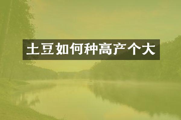 土豆如何种高产个大