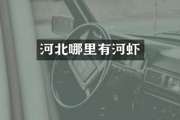 河北哪里有河虾