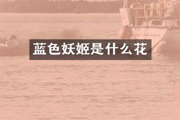 蓝色妖姬是什么花