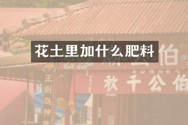花土里加什么肥料