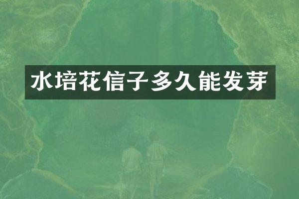 水培花信子多久能发芽