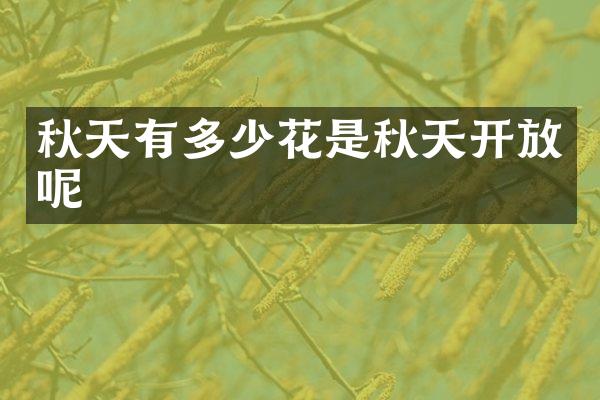 秋天有多少花是秋天开放呢
