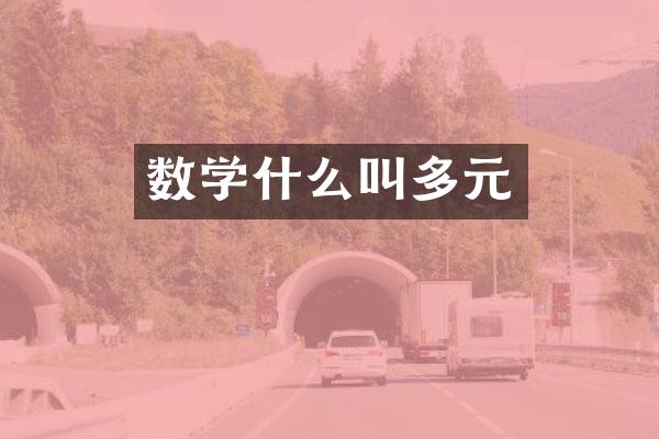 数学什么叫多元