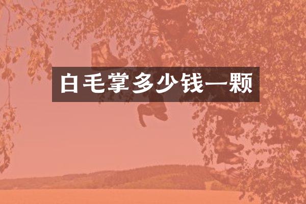 白毛掌多少钱一颗