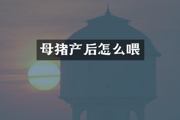 母猪产后怎么喂