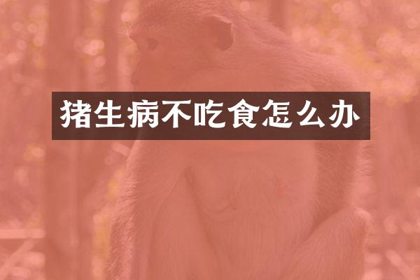 猪生病不吃食怎么办