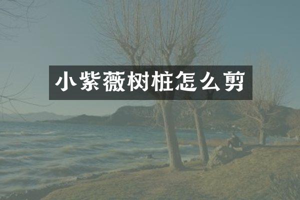 小紫薇树桩怎么剪
