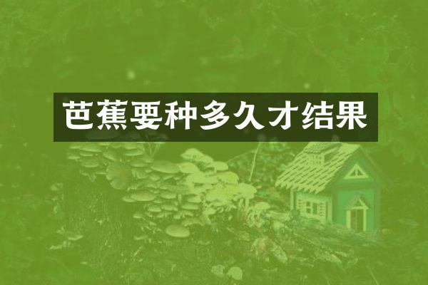 芭蕉要种多久才结果