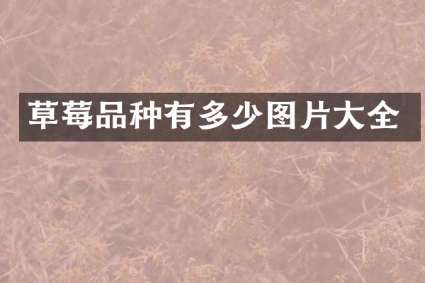 草莓品种有多少图片大全