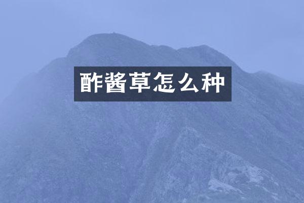 酢酱草怎么种