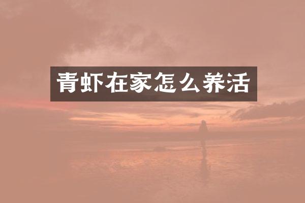 青虾在家怎么养活