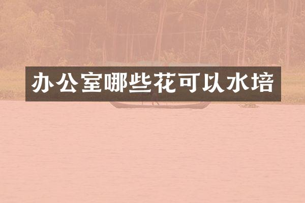办公室哪些花可以水培
