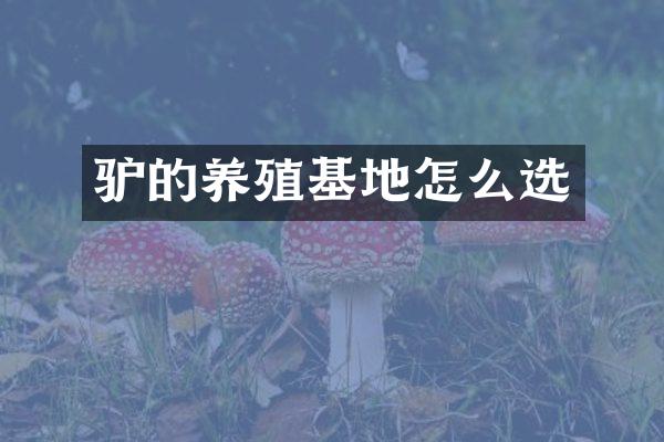 驴的养殖基地怎么选