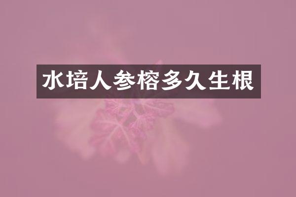 水培人参榕多久生根