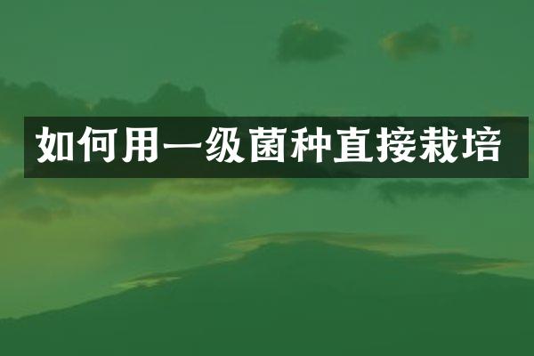 如何用一级菌种直接栽培
