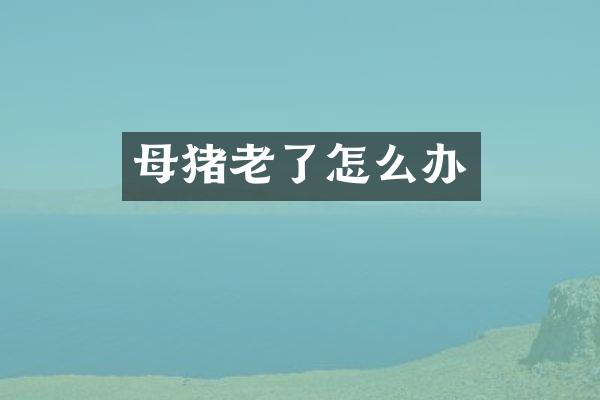 母猪老了怎么办