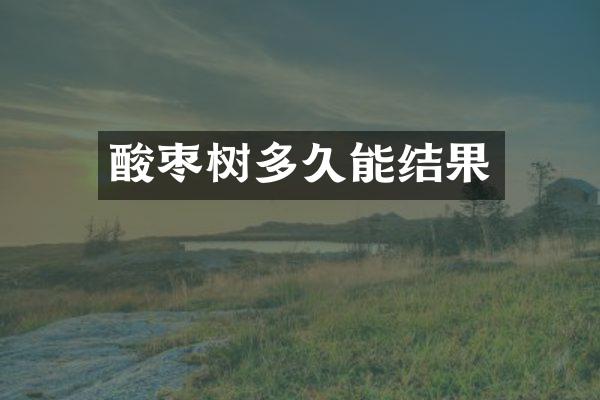 酸枣树多久能结果