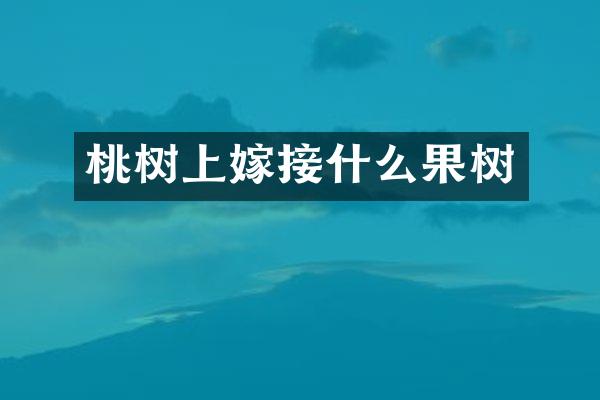 桃树上嫁接什么果树