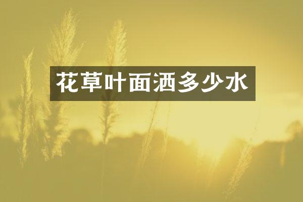 花草叶面洒多少水