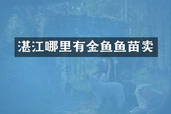 湛江哪里有金鱼鱼苗卖
