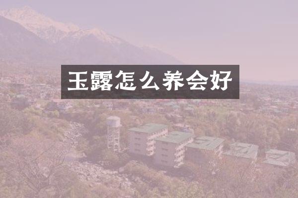 玉露怎么养会好