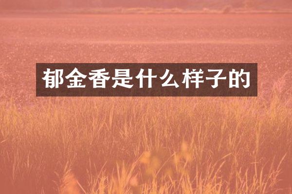 郁金香是什么样子的