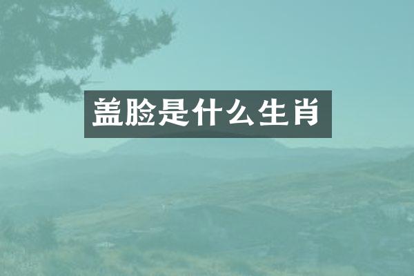 盖脸是什么生肖